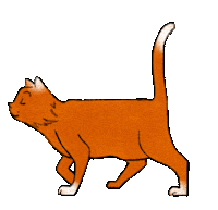 studioumi cat cats kitty handdrawn Sticker