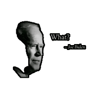 Joe Biden What Sticker