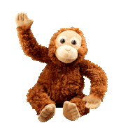 Orangutan Sticker by Coop