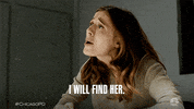 Chicago Pd Nbc GIF by One Chicago