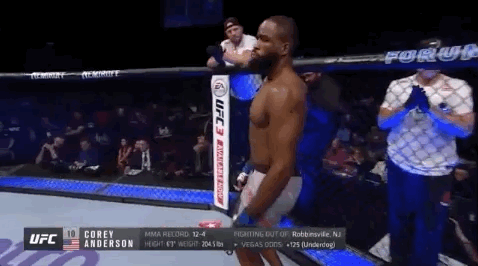 ufc 232 sport GIF by UFC