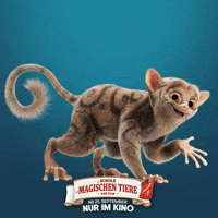 Kino Kinofilm GIF by Die Schule der magischen Tiere - Der Film