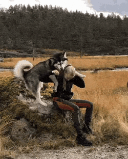 GIF by madmoiZelle