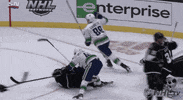 Celebrate Ice Hockey GIF by NHL