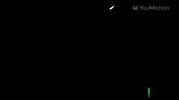Corona Virus Hand Drawn Animations