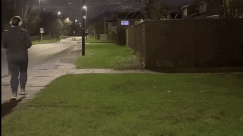 Sofacushion demi donnelly demidonnelly GIF