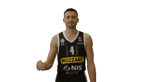 Partizan Sticker by sportmts