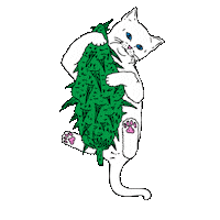 RIPNDIP_CAT alien skate leaf skaters Sticker