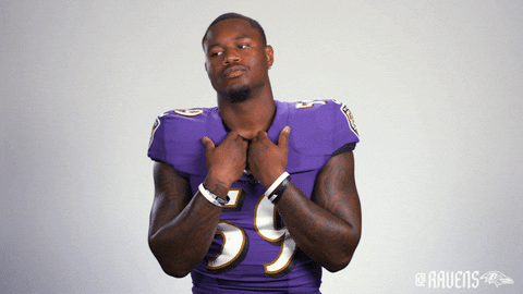 Football Nfl GIF by Baltimore Ravens