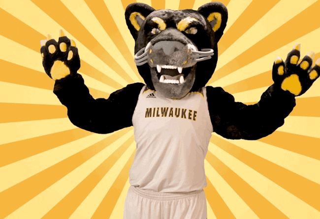 Pounce Look At Me GIF by UW-Milwaukee