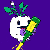 New Year Fireworks GIF by Magic Eden
