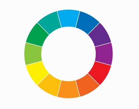 mariafilo giphyupload GIF