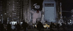 GIF by Ghostbusters