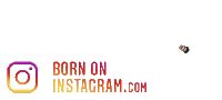 Streetwalaphotographer Sticker by BORN ON INSTAGRAM