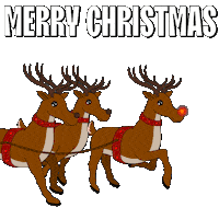 Merry Christmas Sticker by Pudgy Penguins