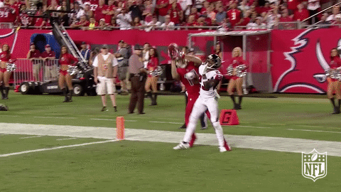 Tampa Bay Buccaneers GIF by NFL