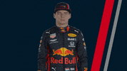 redbullracing car racing race 2019 GIF