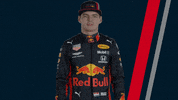 redbullracing car racing race 2019 GIF