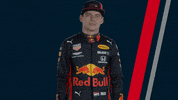 redbullracing car racing race 2019 GIF