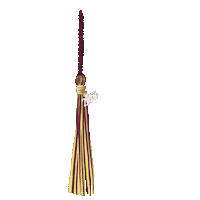 Congrats Graduate Sticker by Bloomsburg University