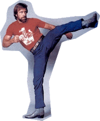 Chuck Norris Art GIF by hAyDiRoKeT