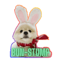 Bunny Love Sticker