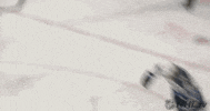 Ice Hockey Hug GIF by NHL