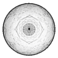 Chandelier Skygarden Sticker by Marcel Wanders