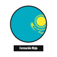 Kazakhstan Flag Sticker by Formación Ninja