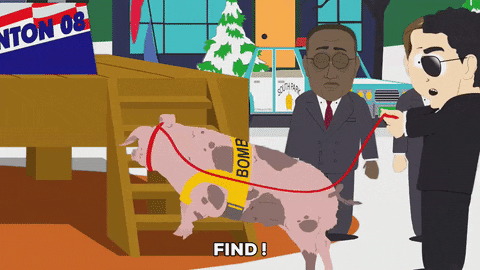 walking finding GIF by South Park 