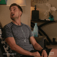 pop tv agree GIF by Schitt's Creek