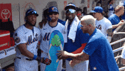 Celebrate Home Run GIF by New York Mets