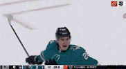 Ice Hockey Sport GIF by NHL