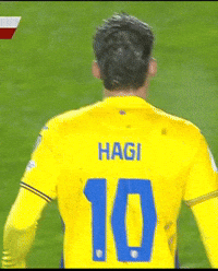 Romania Patriot GIF