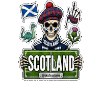 Copa Del Mundo Soccer Sticker