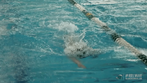 athletics swimming GIF by GreenWave
