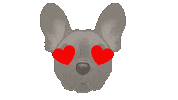 Love It Heart Eyes Sticker by zoopeez