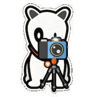 Happy Dog Sticker by WPBR Marketing Digital