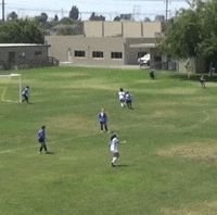 invictusfeminae goal win women winning GIF
