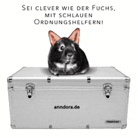 Schau Gemach GIF by anndora