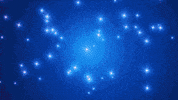 Inde GIF by Satisfaction Group