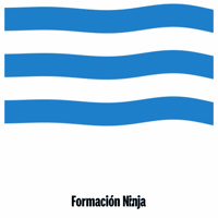 Flag Spain GIF by Formación Ninja