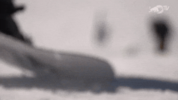 Red Bull Slide-In Tour