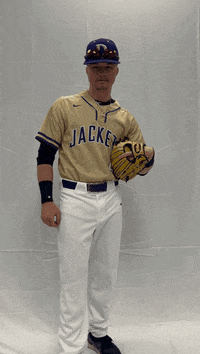 Defibsb GIF by DefianceCollegeAthletics