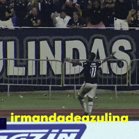 33 GIF
