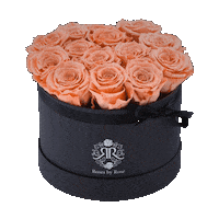 rosesbyrose love valentine valentinesday roses Sticker