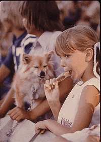 Ice Cream Dog GIF by US National Archives