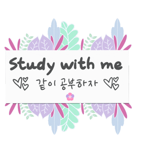 Study Estudiar Sticker