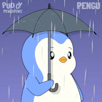 Raining Make It Rain GIF by Pudgy Penguins