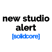 Workout Exercise Sticker by solidcore